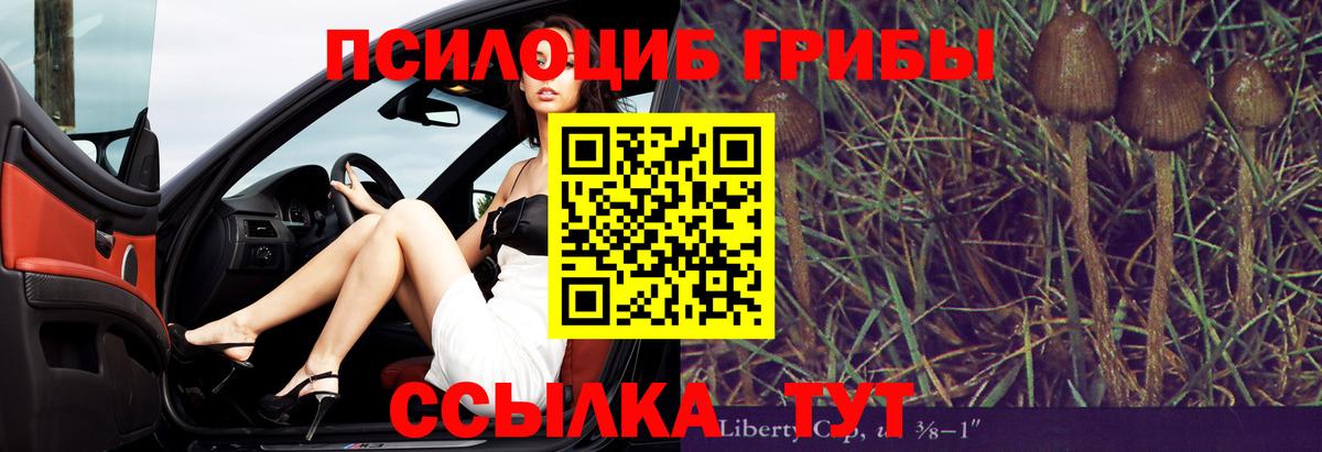 Псилоцибиновые грибы Magic Shrooms Кирово-Чепецк